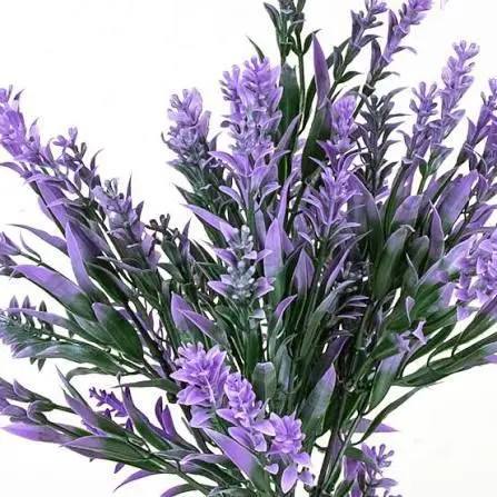 Purple Spiky Flower Cluster