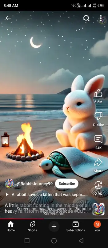 Rabbit And Turtle By Campfire