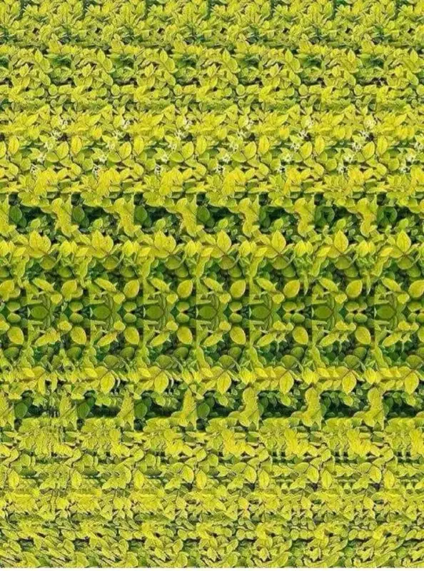 Repetitive Leaf Pattern Design