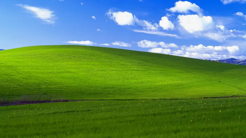 Rolling Green Hill Landscape