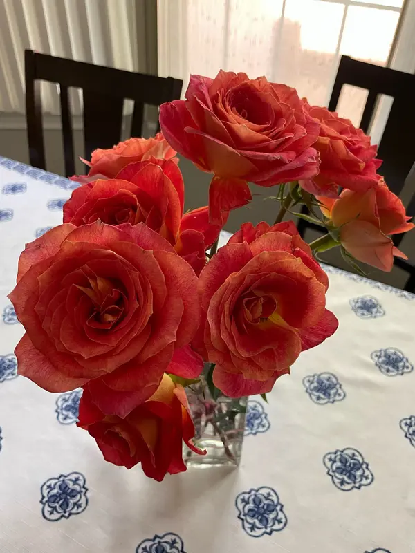 Roses In Vase On Table