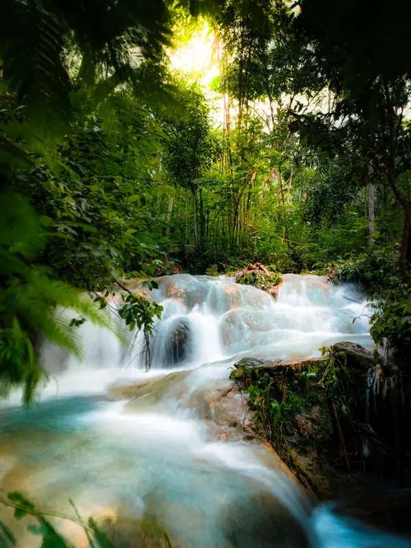 Serene Waterfall In Lush Forest