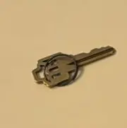 Single Metal Key On Surface