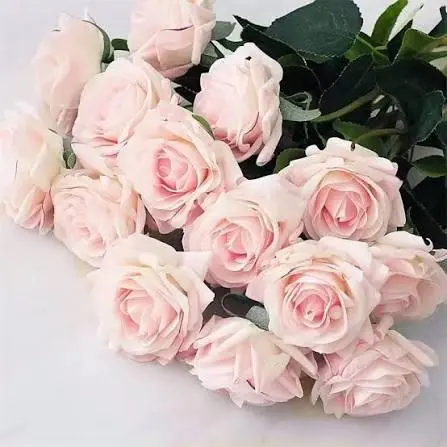 Soft Pink Roses Bouquet Close-up
