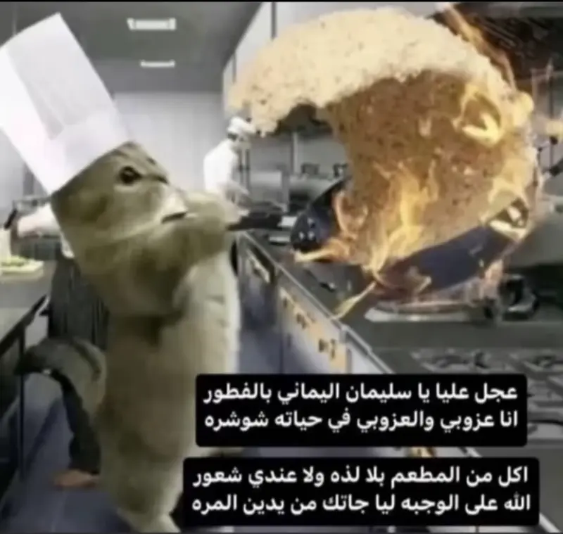 Squirrel Chef Tossing Food