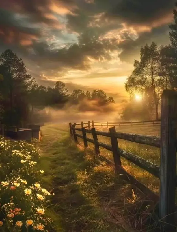 Sunset Over Field And Fence