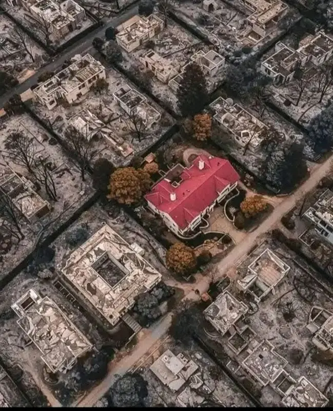 Surviving House In Burnt Area