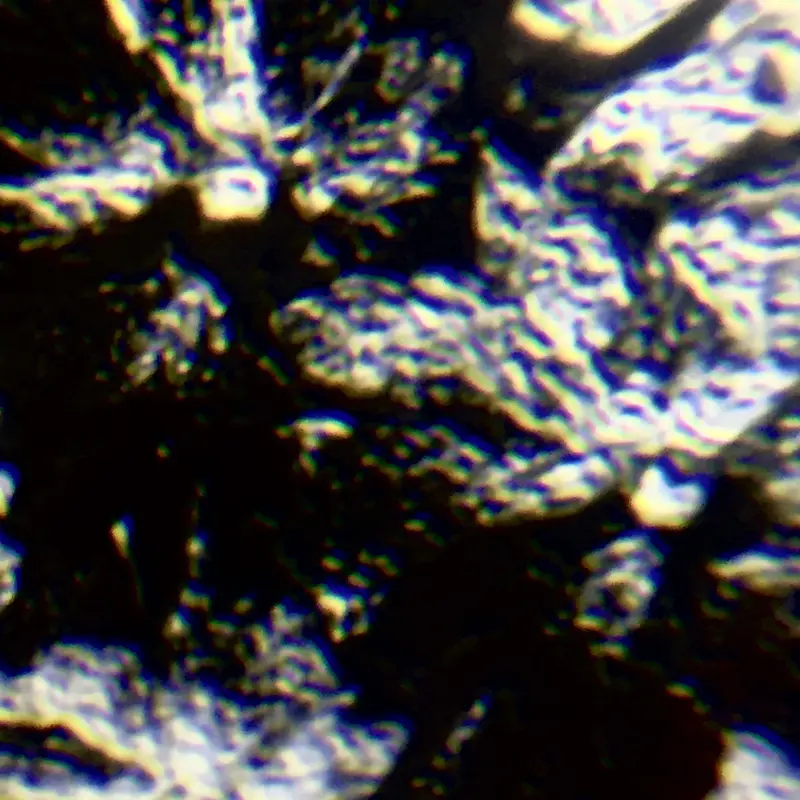 Textured Surface Close-up