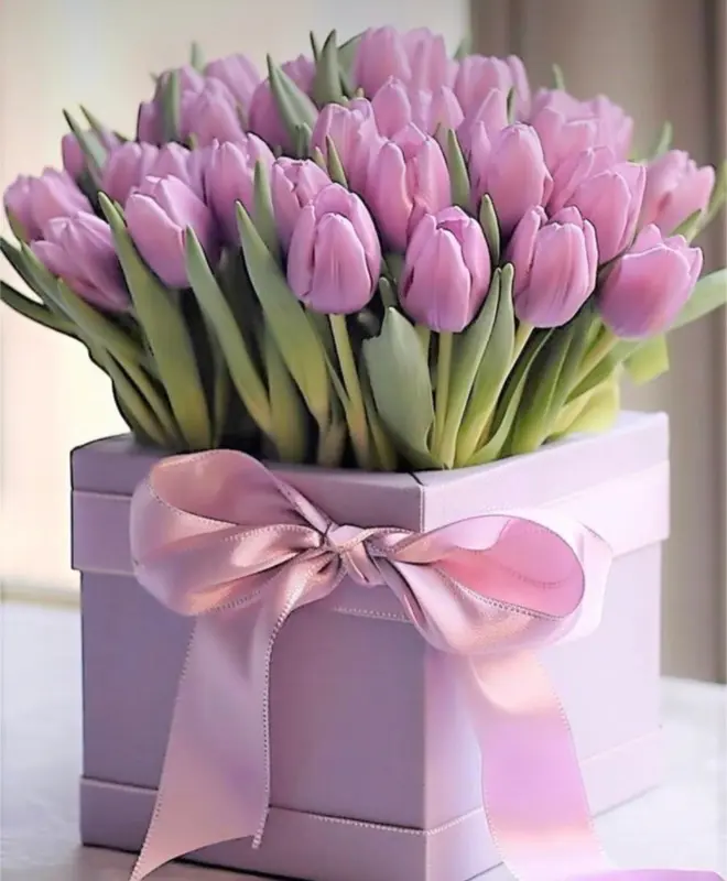 Tulips In Gift Box