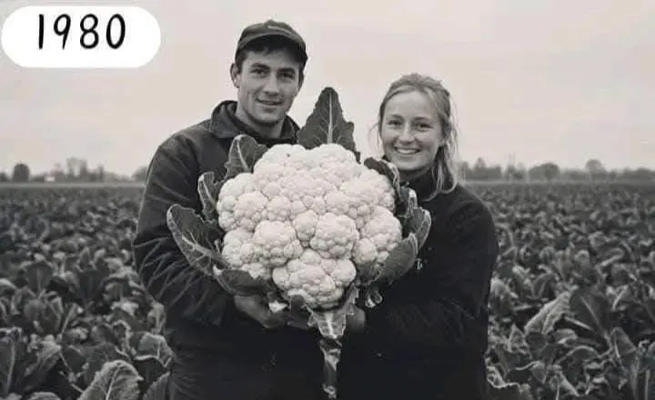 Two Farmers With Giant Cauliflower