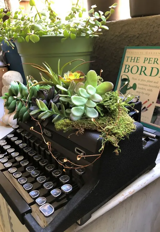 Typewriter With Succulents And Lights