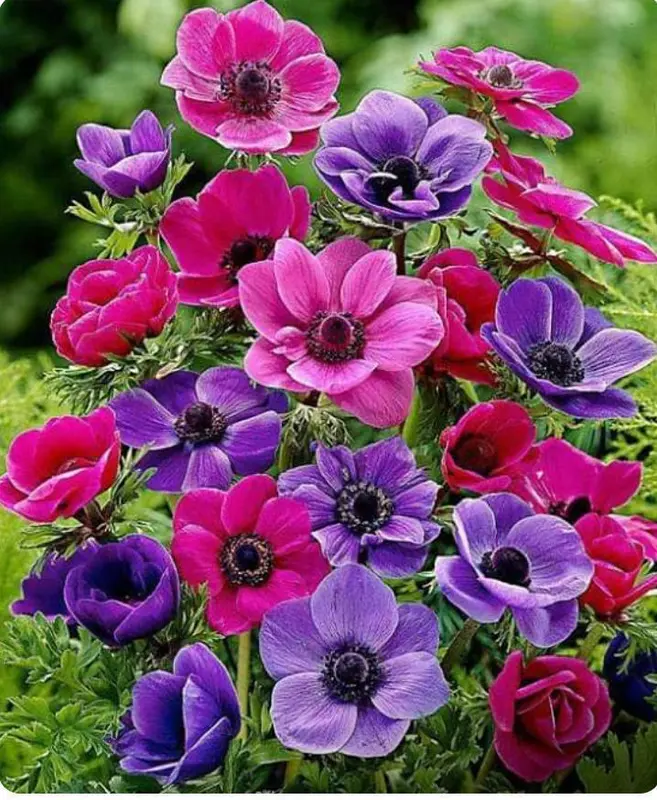 Vibrant Flower Bouquet Arrangement