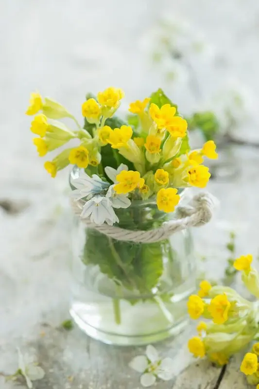 Vibrant Flowers In Glass Jar