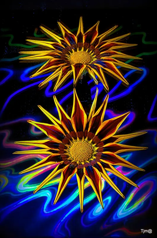 Vibrant Flowers In Neon Light