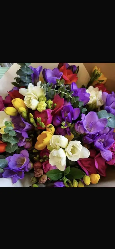 Vibrant Mixed Freesia Bouquet Close