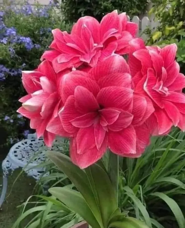 Vibrant Pink Flower Bouquet