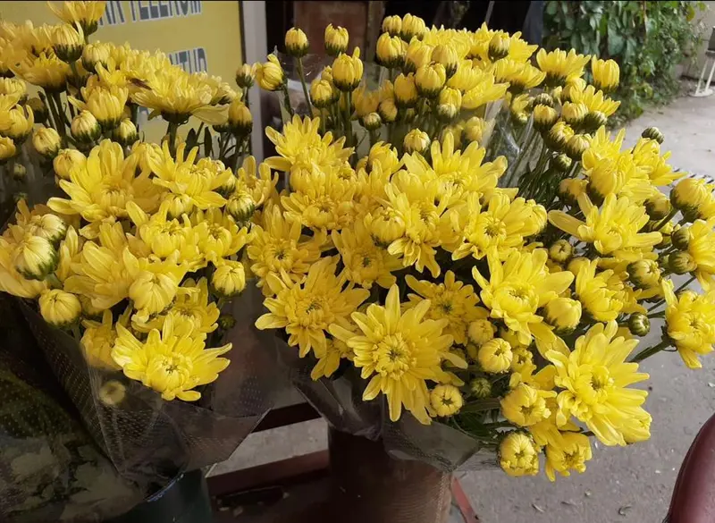 Vibrant Yellow Chrysanthemum Bouquets