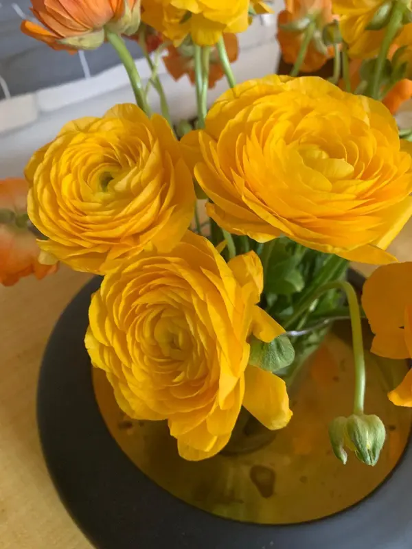 Vibrant Yellow Ranunculus Bouquet