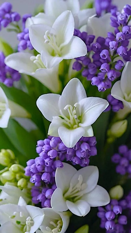 White Lilies With Purple Lilacs