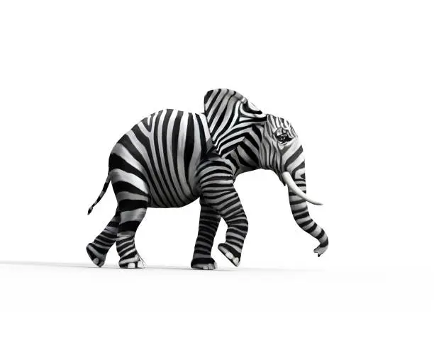 Zebra-patterned Elephant Walking.