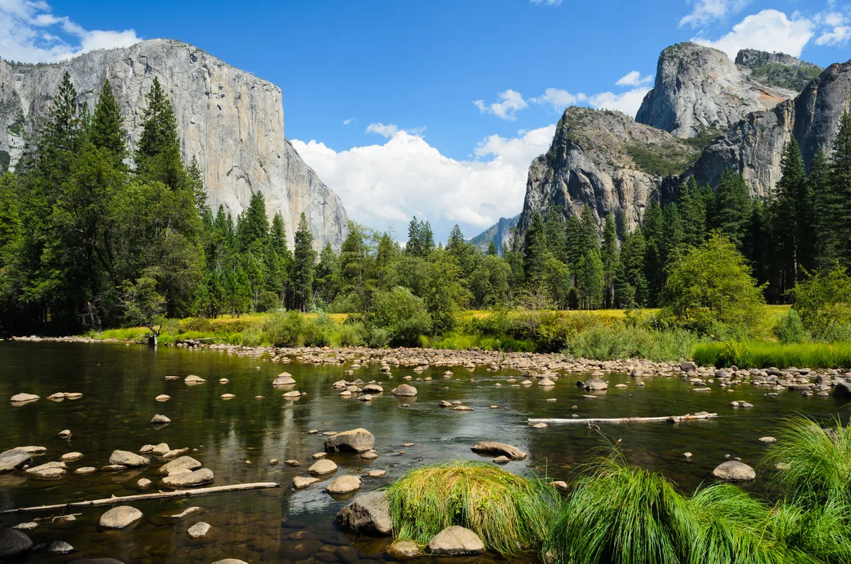 A valley with tall granite cliffs, pine forest and a shallow river with scattered rocks and long grass in front