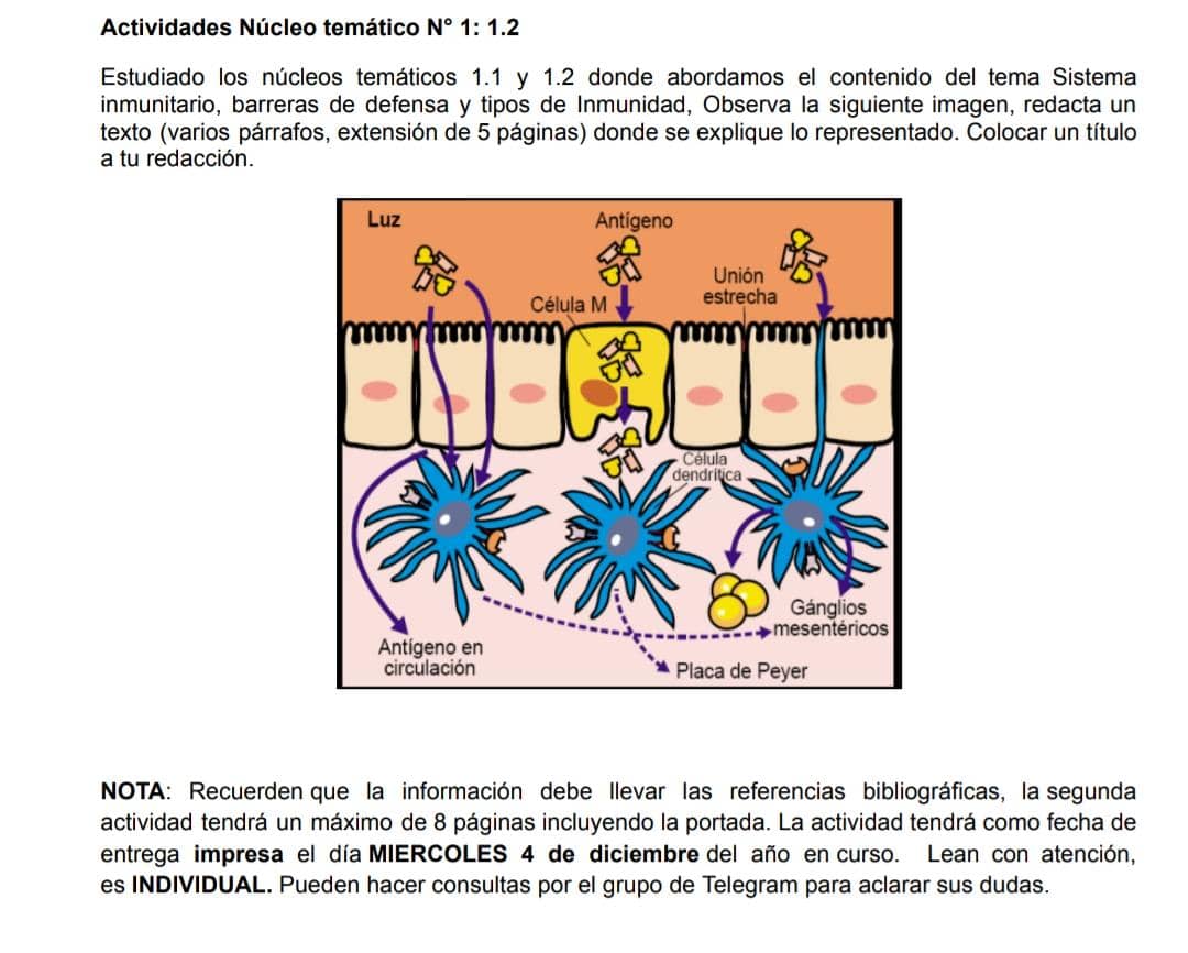 Analyzed Image