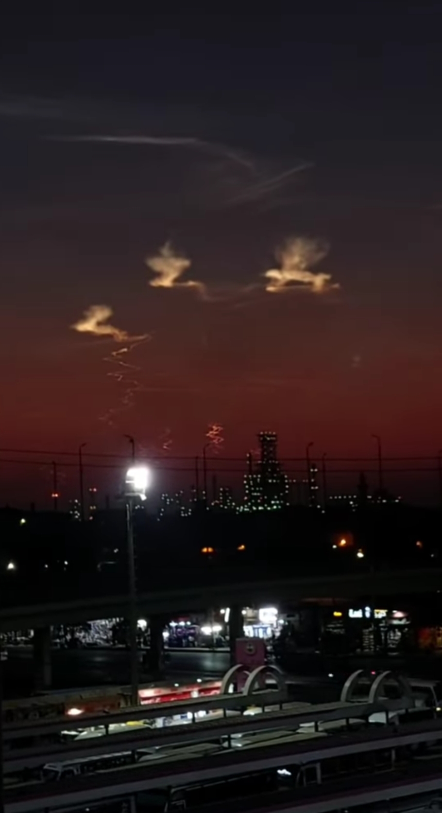 Analyzed Image