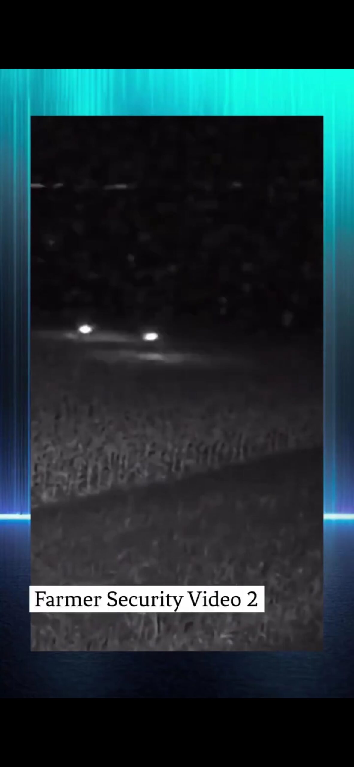 Analyzed Image