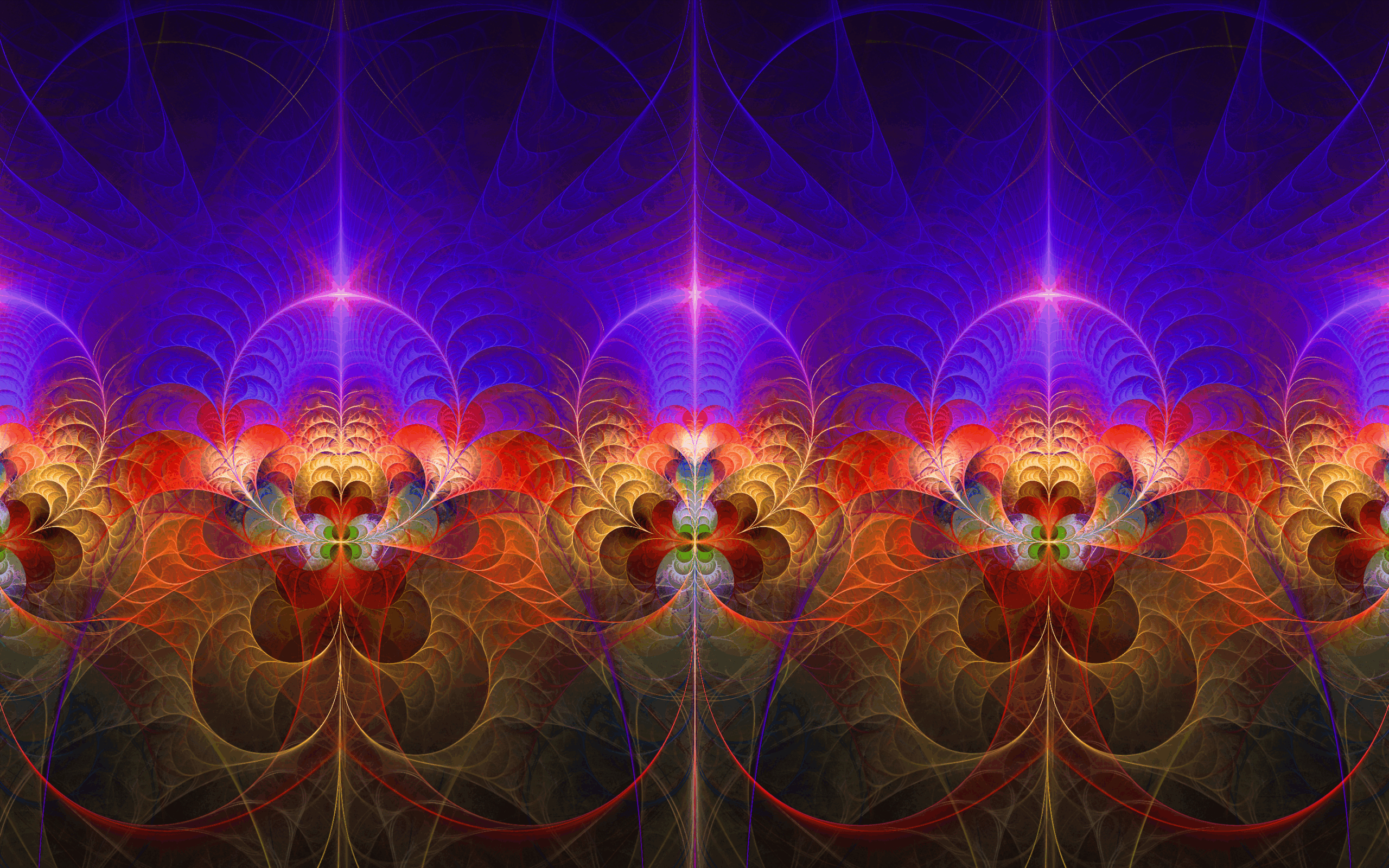 Analyzed Image